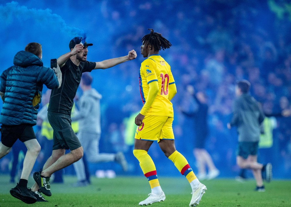 Everton fans stormed the pitch after their side secured Premier League survival for another year