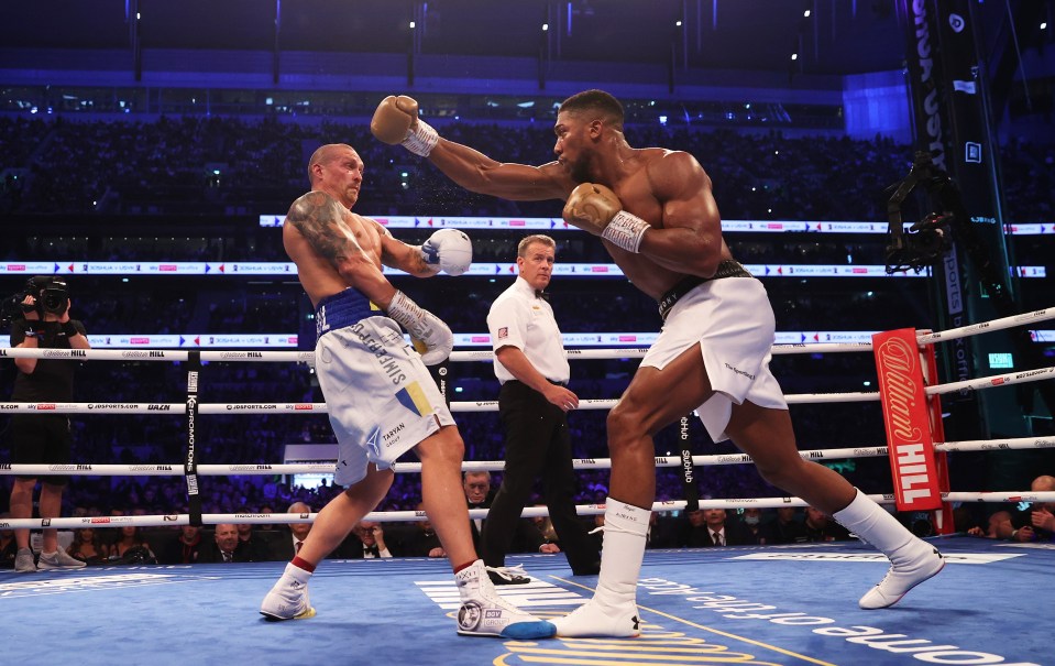 Anthony Joshua had his second reign as unified heavyweight champ ended by Oleksandr Usyk last year