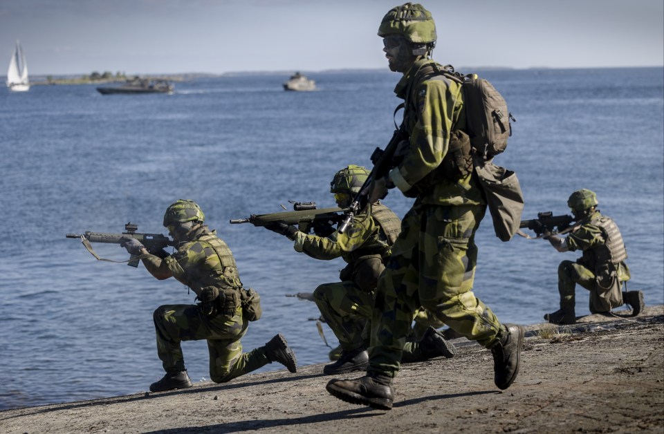 Swedish and Finnish soldiers took part in performing war simulation exercises