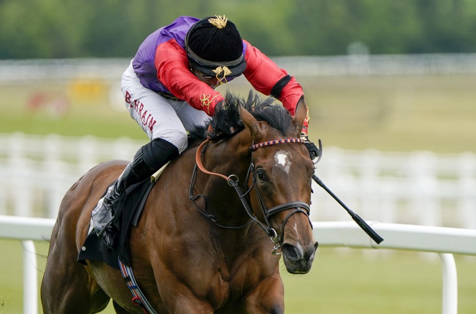 Perfect Alibi runs today in the Ascot Queen's Vase