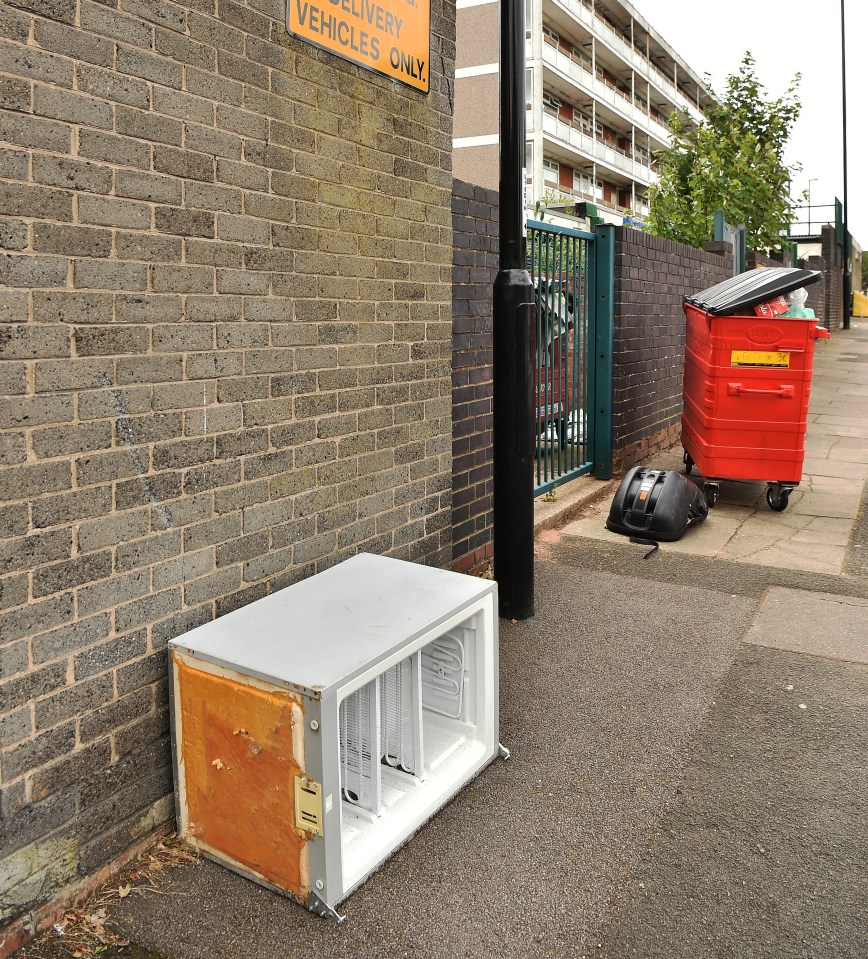 A fridge dumped on the street next to other litter