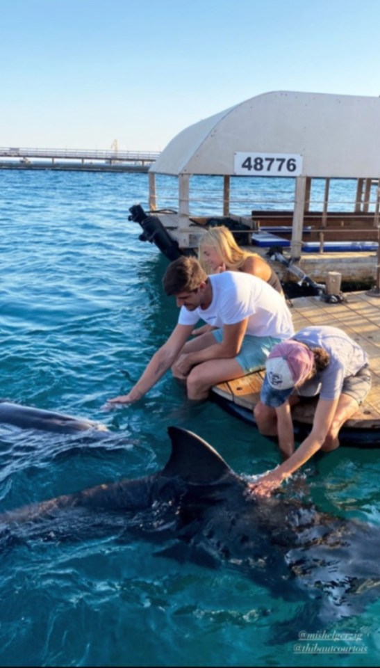 Newly-engaged Thibaut Cortois and Mishel Gerzig frolicked with dolphins