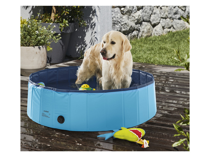 You pooch can have their own paddling pool!