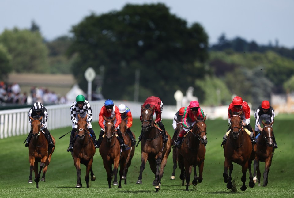 The Royal Hunt Cup is underway ay Ascot