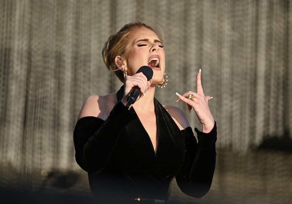 Adele appeared on the brink of tears as she walked on stage in Hyde Park for her first concert in five years, telling the crowd: 'Help me'