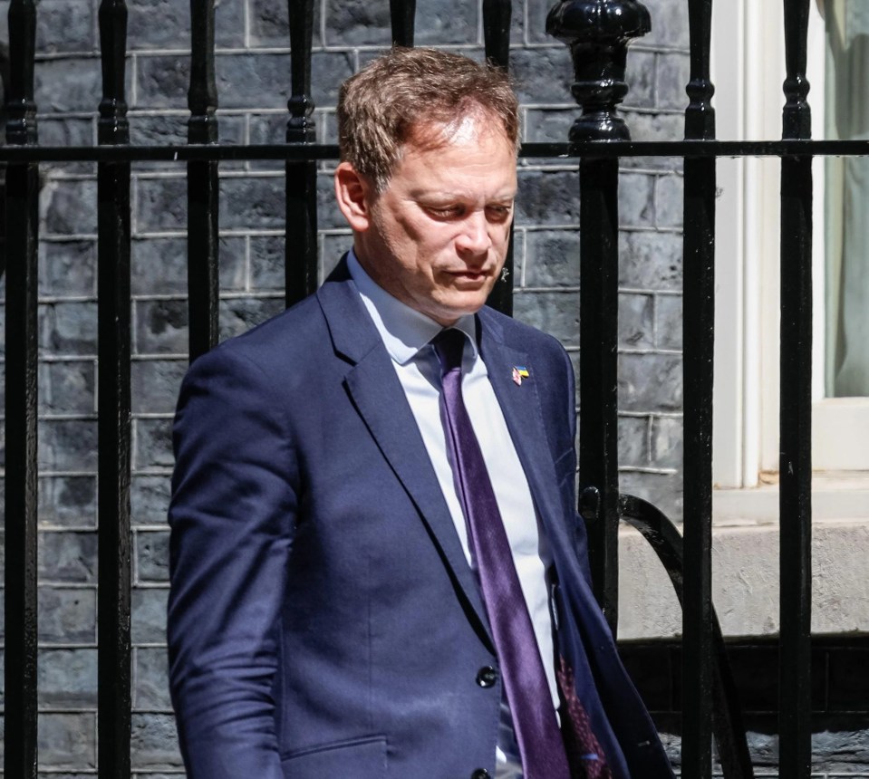 A number of Cabinet Ministers, including Grant Shapps, pictured, let the Chief Whip know they thought the PM’s time was up