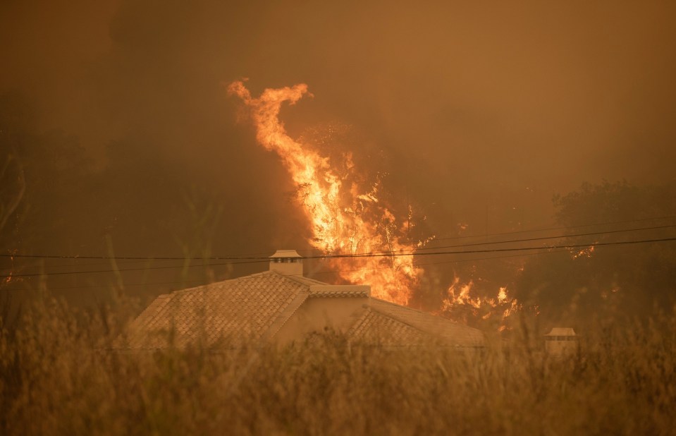 Wildfires have been ripping through Europe with Portugal badly hit