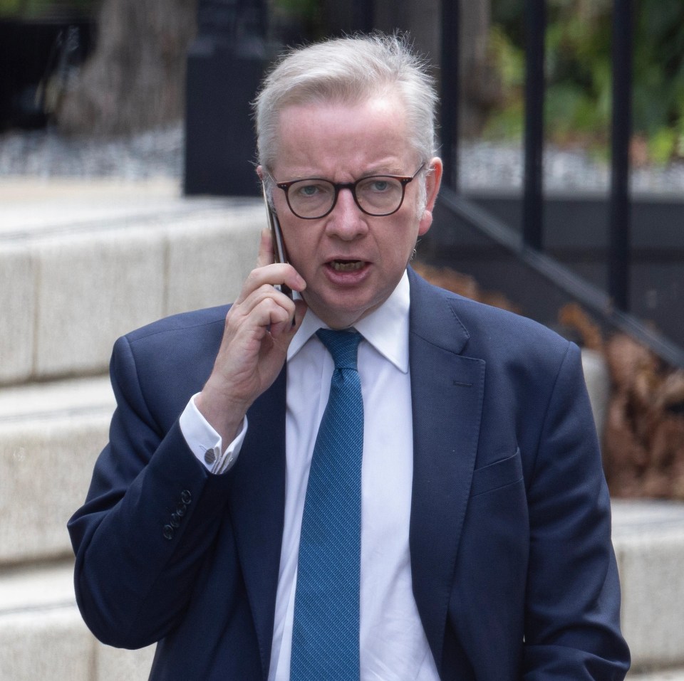 Mr Johnson last night fired Cabinet big beast Michael Gove, who was branded a 'snake'