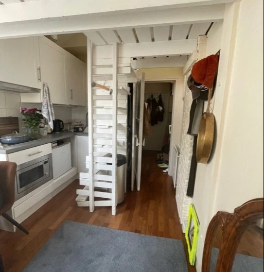 The bed can only be accessed via a thin ladder in the kitchen