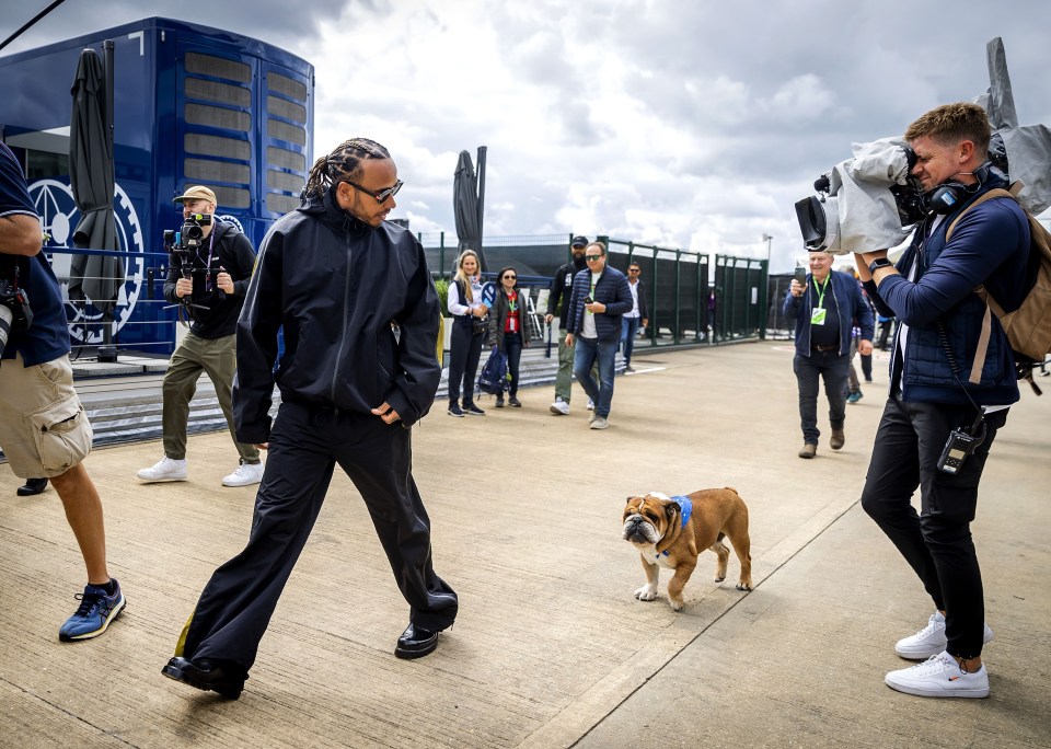 Roscoe can often be seen trailing a few feet behind Hamilton as he strides through the paddock on a F1 race weekend