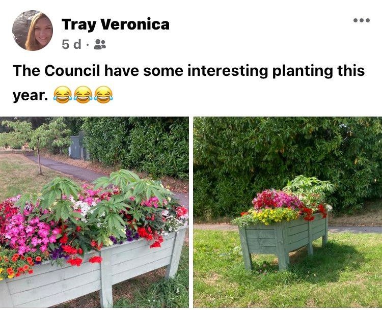 The crop left Tray Veronica in hysterics so she put up a picture on Facebook