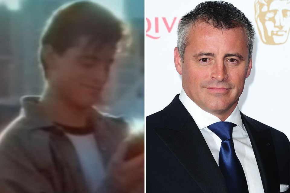 Matt Le Blanc starred in the Heinz ad before he was famous