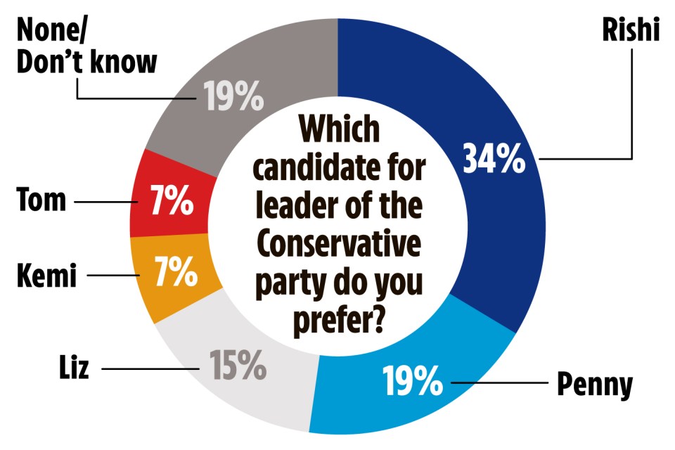 A third (34 per cent) of voters believe Rishi Sunak should get the top job, according to analysis seen by The Sun