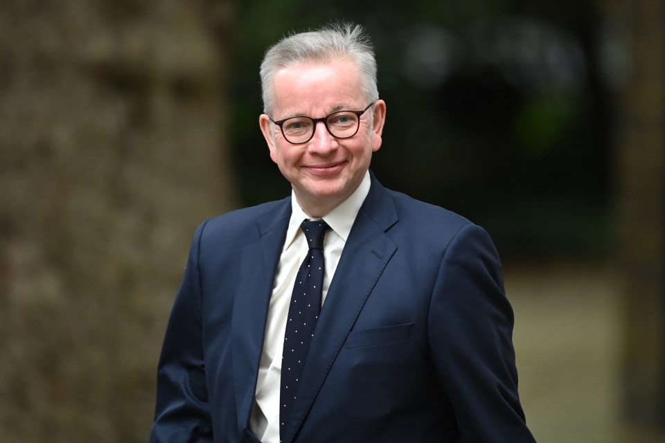 Tory big beast Gove says Kemi has the 'right stuff' to lead Britain