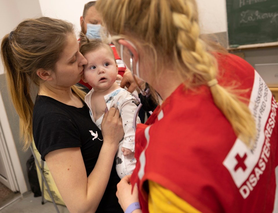 The International Red Cross has helped provide vital supplies - pictured a mother and baby at a centre on the Hungary border