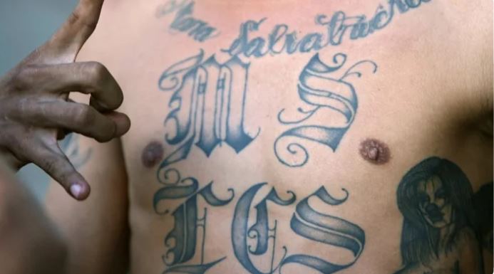 MS-13 is known for its motto “kill, rob, rape, control”.