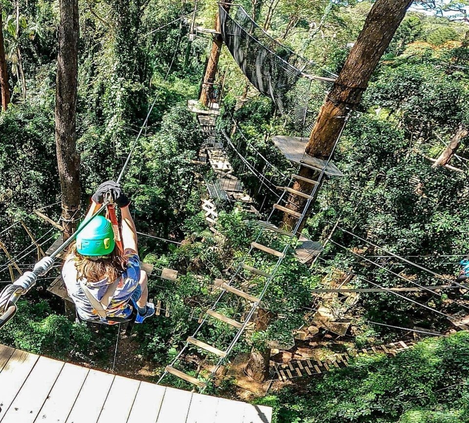 Thrillseekers zoom through the canopy at the TreeTop Challenge adventure park