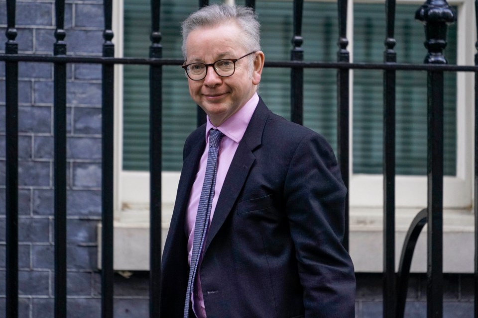 Ex-Environment Chief Michael Gove introduced new rules on wood burning stoves