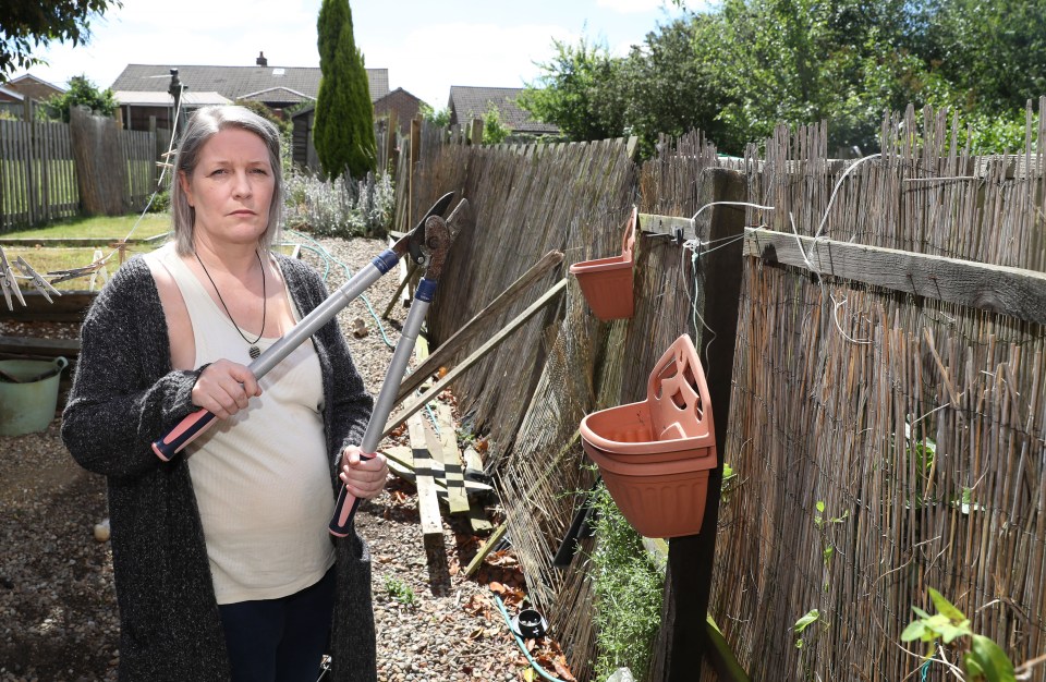 Dawn Turner was repeatedly filmed cutting her neighbour's washing line