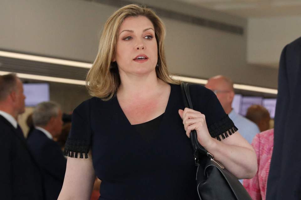 Penny Mordaunt's exact policies are unknown after she released a vague video this morning announcing her candidacy