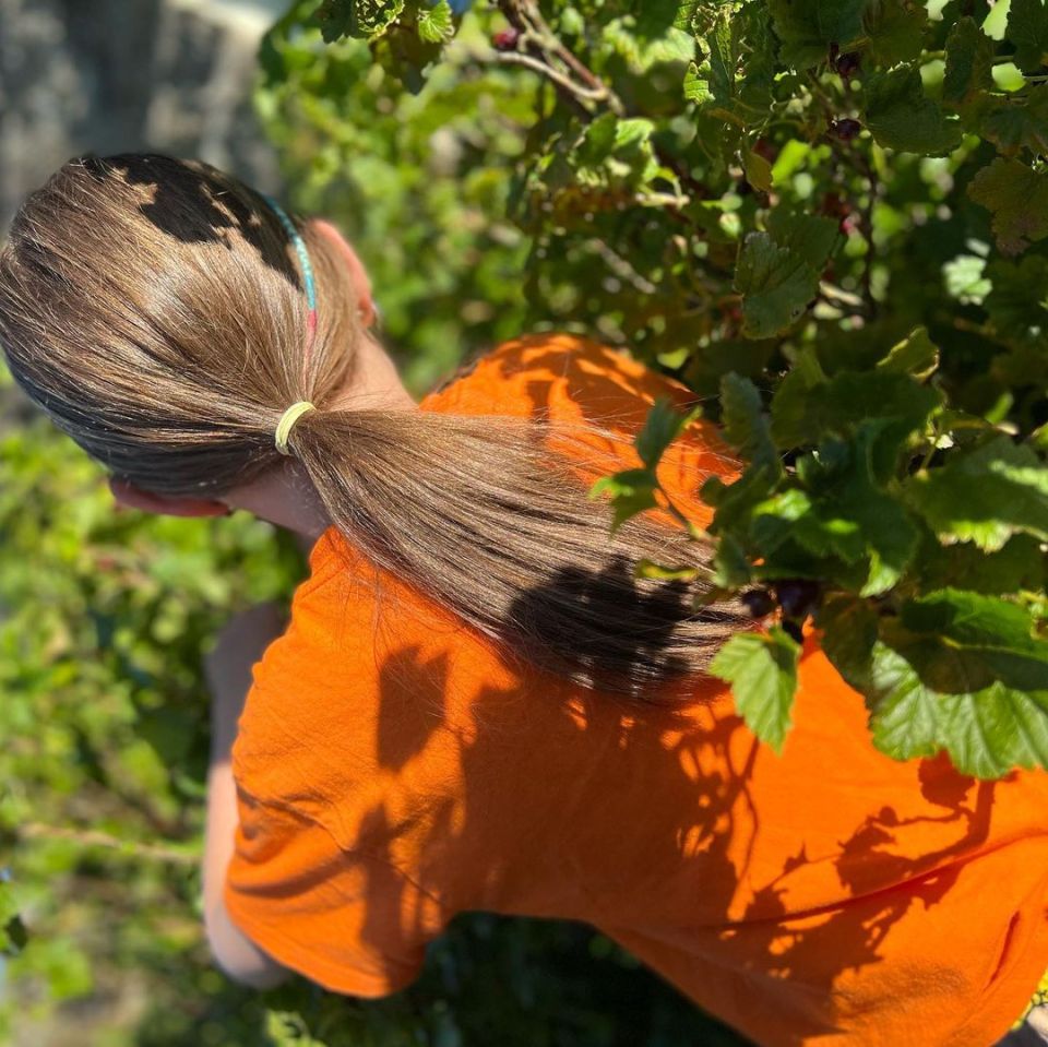 The Yorkshire Shepherdess takes her daughters out blackcurrant picking