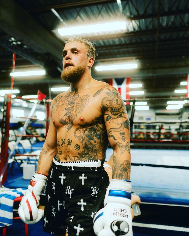 A lucrative boxing match with Jake Paul has been mooted for the fan favourite