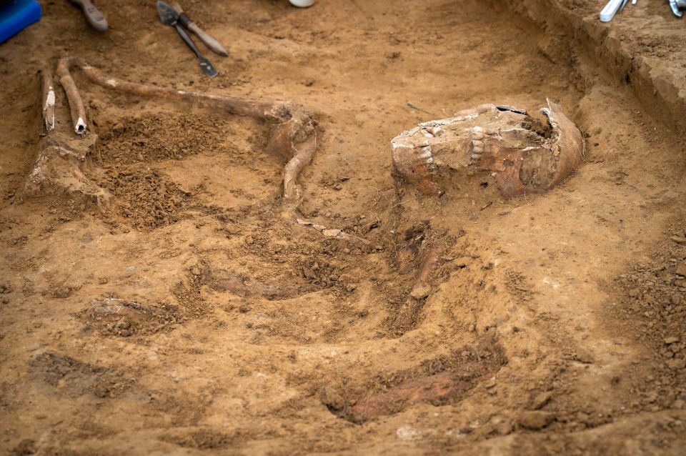 A skull and arm found at the site of Waterloo are thought to be those of a soldier