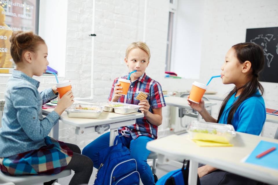 Schoolchildren should be in school during the heatwave, Dominc Raab has said