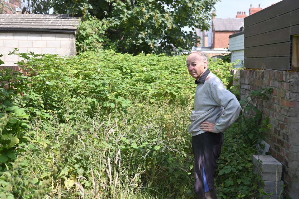 Norman Greenwood, 83, has been left furious over a rat-infested alleyway behind his house in Blackpool