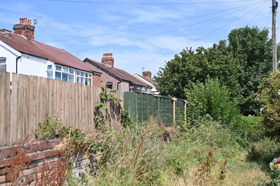 Norman said the back street is now completely overgrown