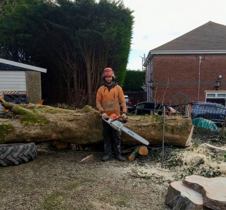 Tree surgeon Jamie Young dumped a quarter of a TON of hedge trimmings on a customer's lawn in a row