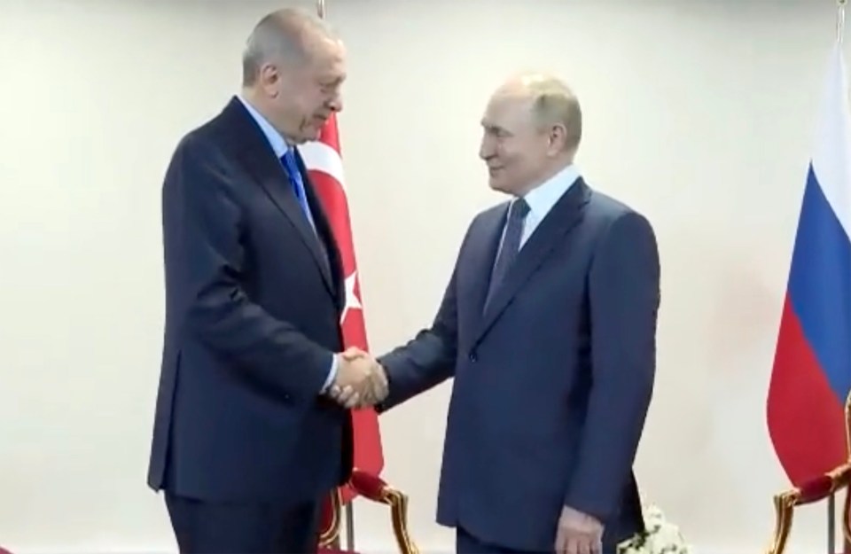 Putin was visibly pleased when President Erdoğan finally arrived for the sit down