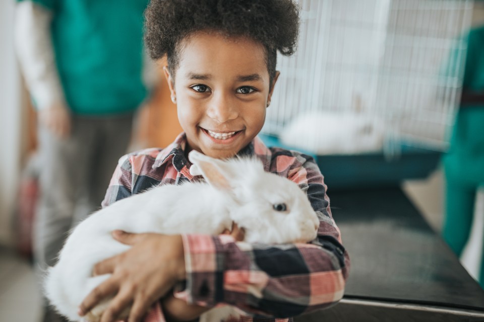 My Pet Pal workshops allow children to spend time with some fluffy pals