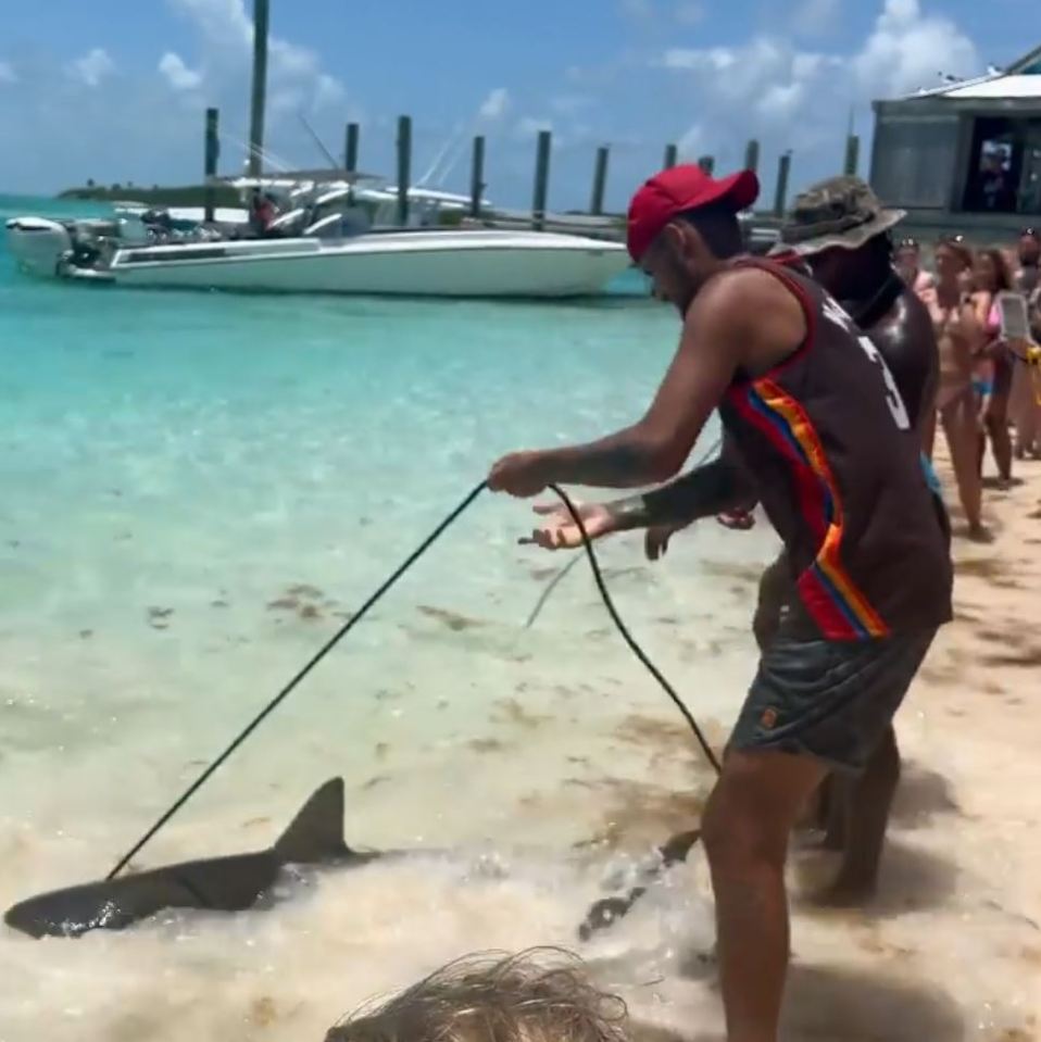 The tennis ace even played with a shark