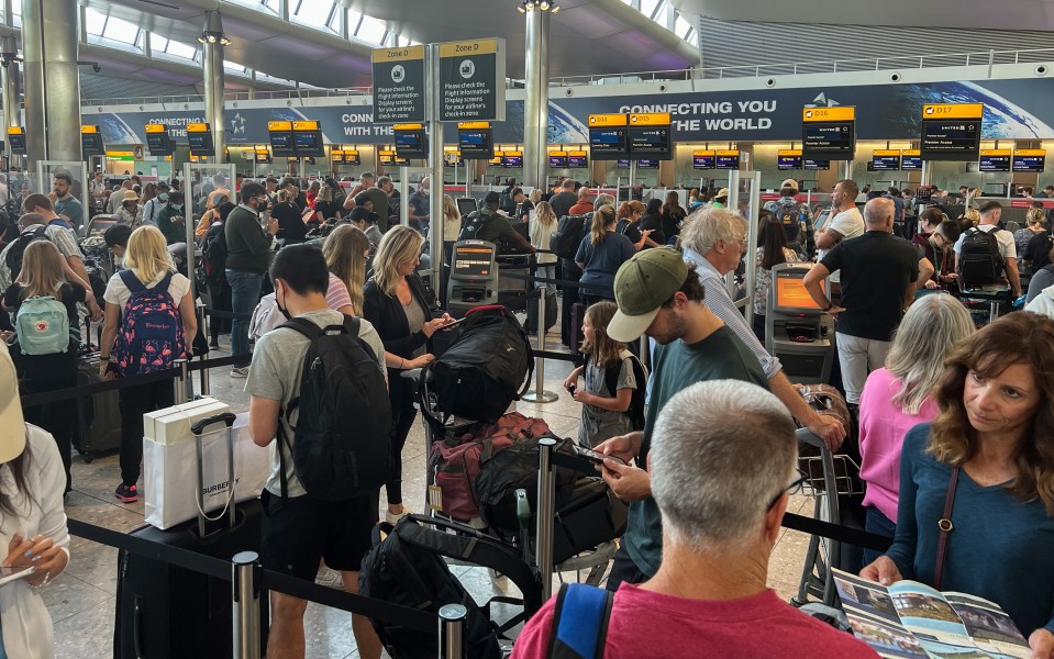 Swarms of passengers waited in lengthy queues at Heathrow