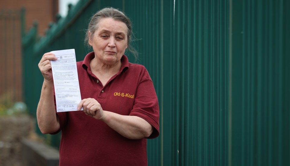 Georgina Searl, 63, says she has begged the council for a blue bin for three years