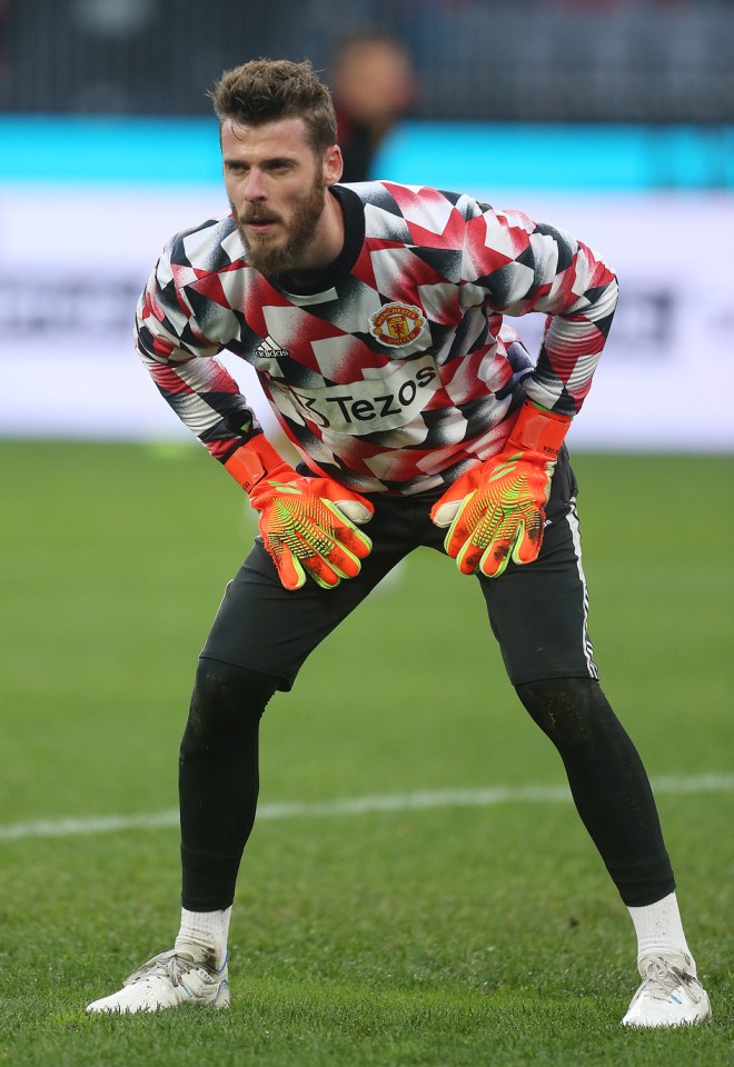 David De Gea was at Old Trafford for England's opening game against Austria