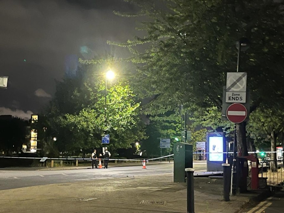 A second man was shot dead near Wood Green station