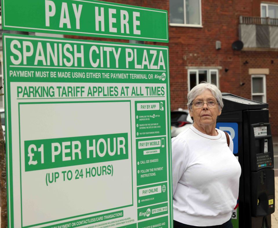 Jean Hills, from Newcastle, slammed the parking firm as 'unethical'