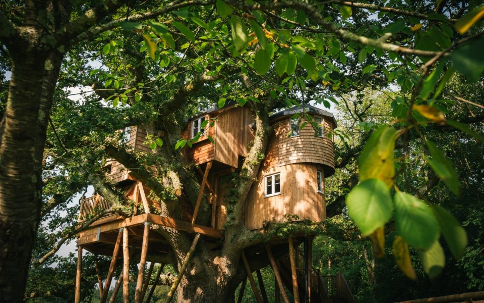 Treetops Treehouse has all of the luxuries of a hotel stay