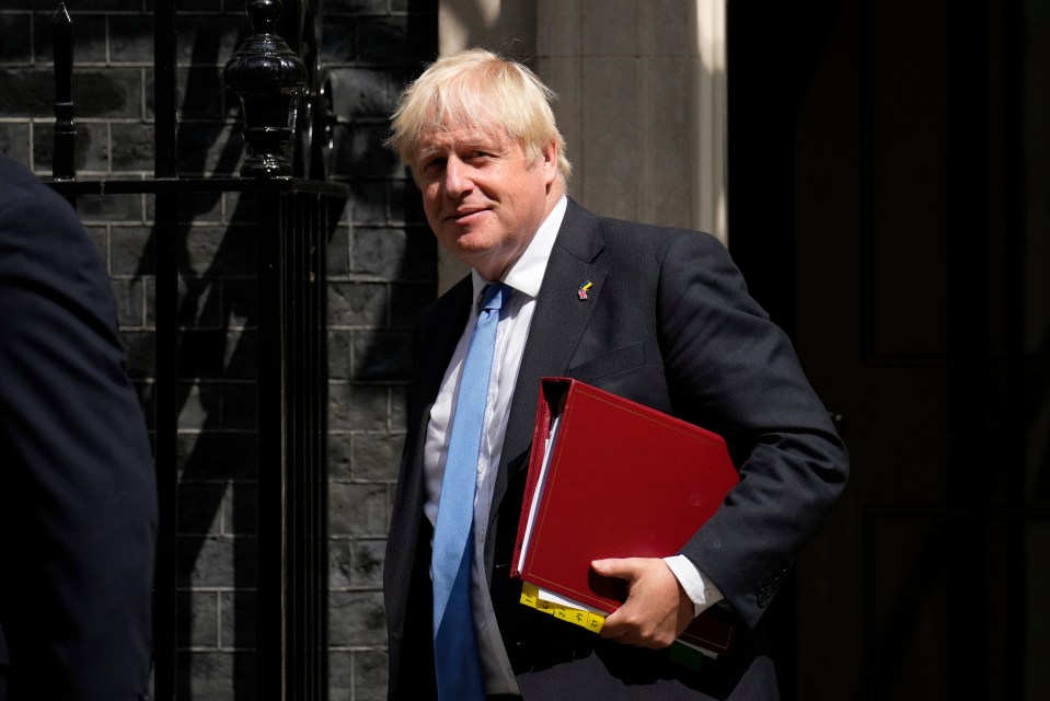 Matthew Dransfield MP says ousting PM Boris Johnson is 'not good' for the country