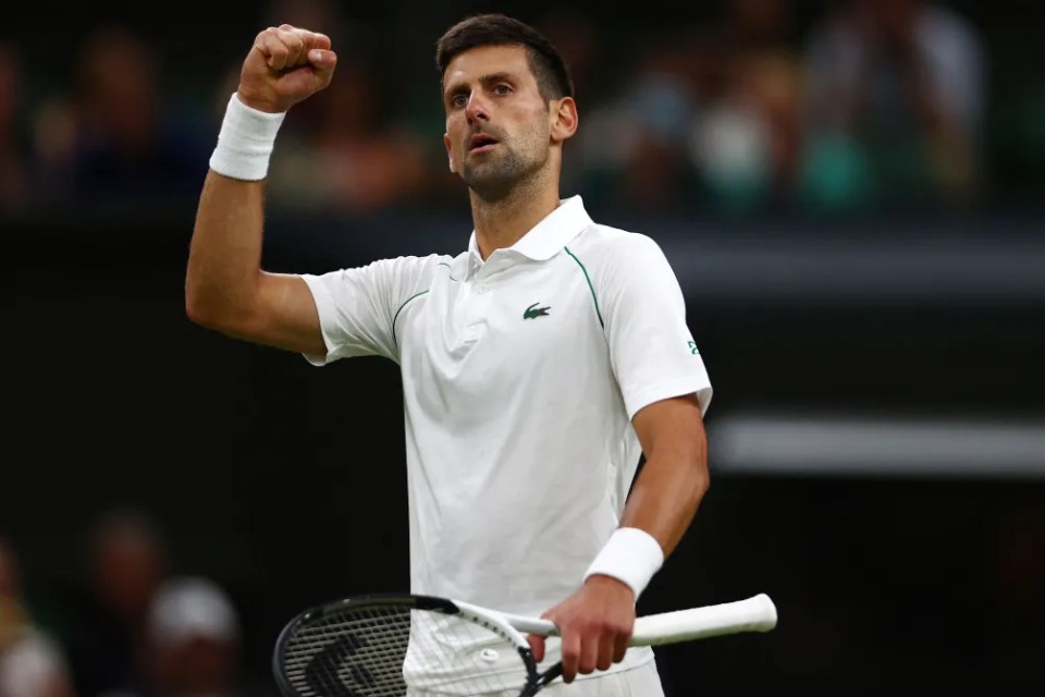 Novak Djokovic is bidding to win his seventh Wimbledon title