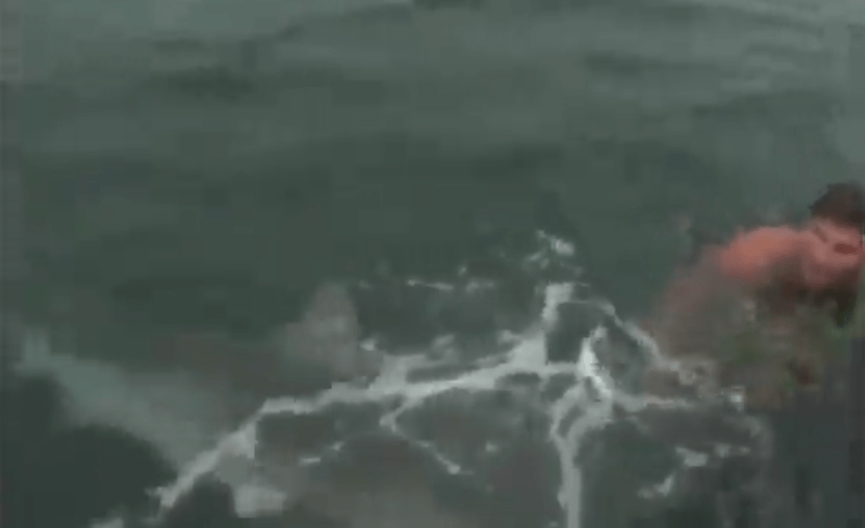 A swimmer screams in terror as a huge shark lunges towards him