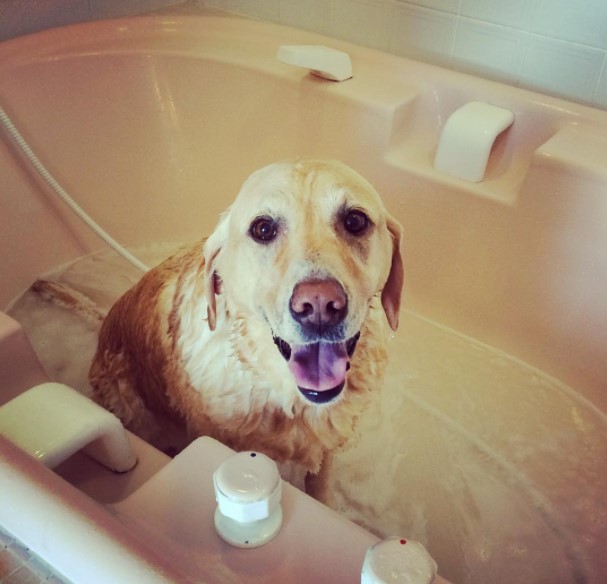 Charlie takes a bath