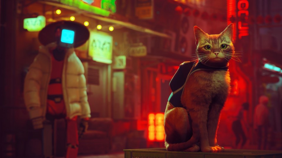 This adorable cat will take you around this strange world.