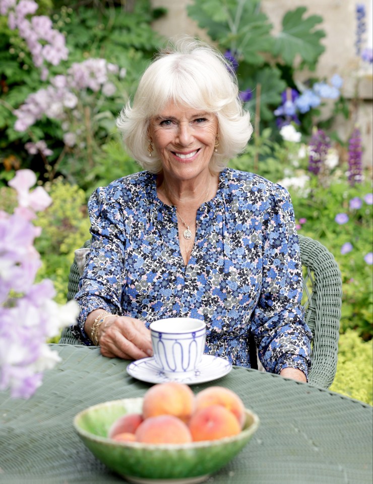 Camilla, The Duchess of Cornwall marked her 75th birthday with striking new portrait