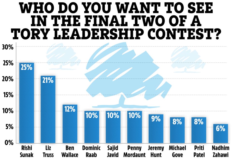 Mr Sunak is currently the favourite to become the new PM - while Ben Wallace has backed out altogether this afternoon