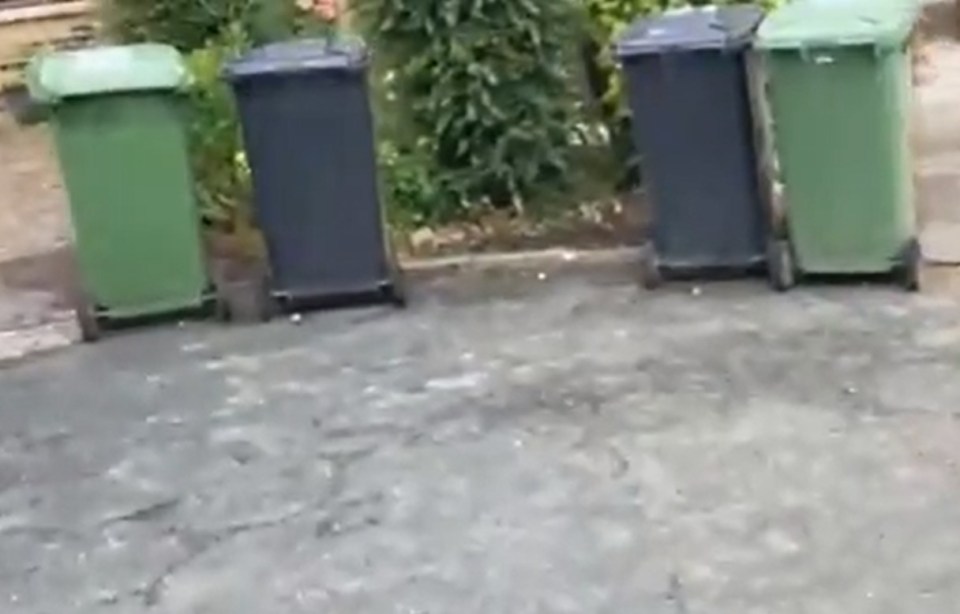 The bins are said to be infested with maggots