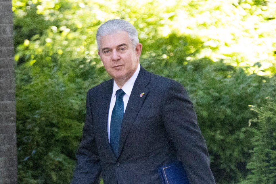 Northern Ireland Secretary Brandon Lewis was among the Cabinet ministers to quit last night