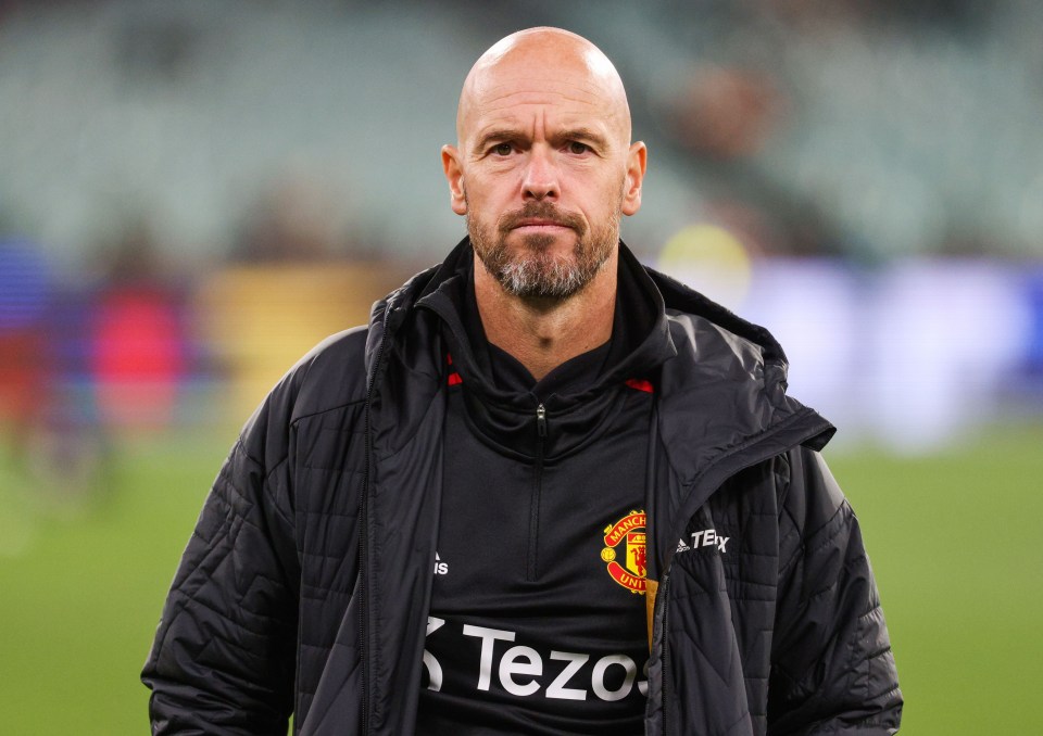 Erik ten Hag has pleaded with Man Utd to buy more attackers this summer